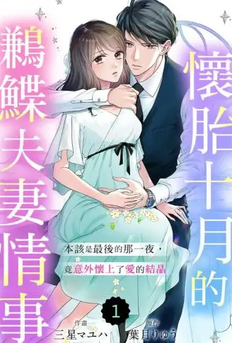 怀胎十月的鹣鲽夫妻情事～本该是最后的那一夜，竟意外怀上了爱的结晶～ WB版漫画