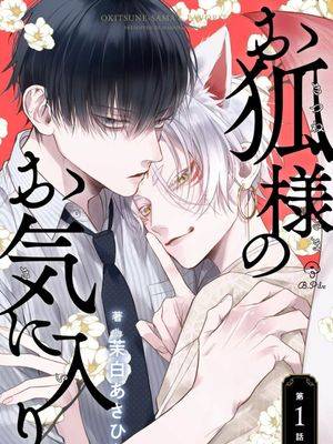 狐仙大人的绝世宠爱