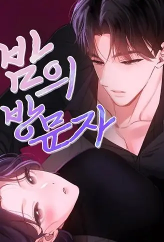 深夜里的访客 WB版漫画