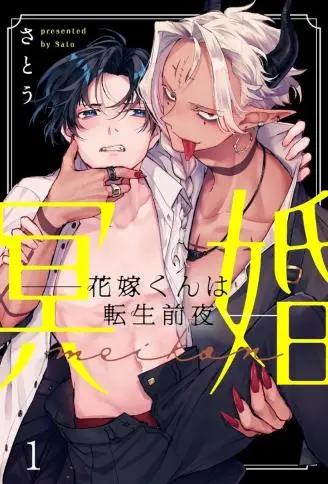 冥婚——恶魔新娘转生前夜—— WB版漫画