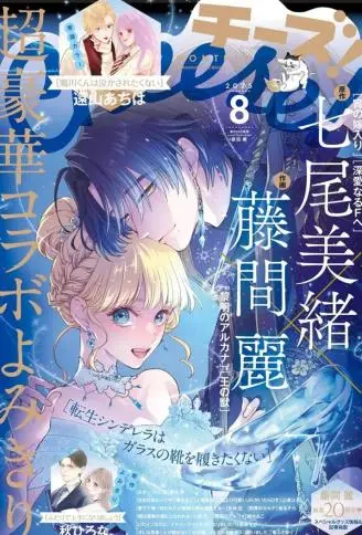 转世重生的灰姑娘不想穿上玻璃鞋 WB版