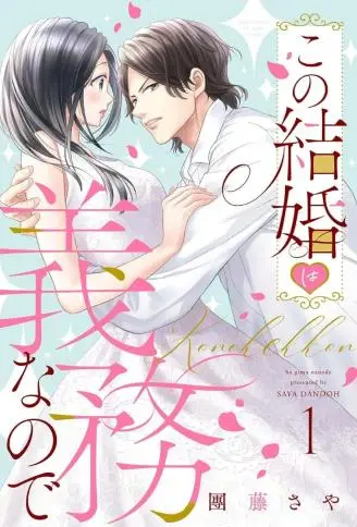 这个婚姻是义务仅此而已 WB版
