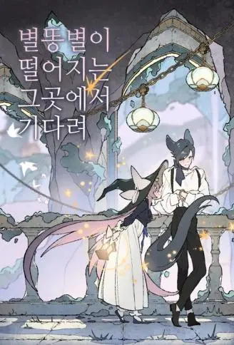 在流星坠落之处等待 WB版