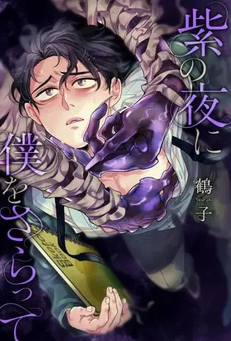 紫色夜魇，掠我而去 WB版