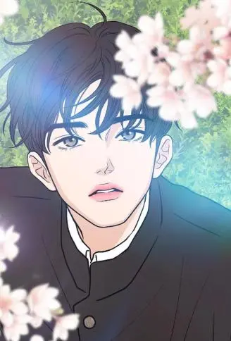 未及绽放 WB版漫画