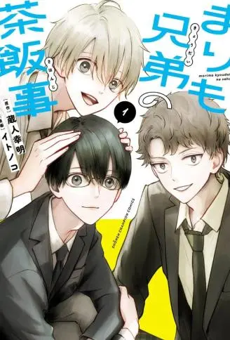 鞠茂兄弟的大小事 WB版漫画