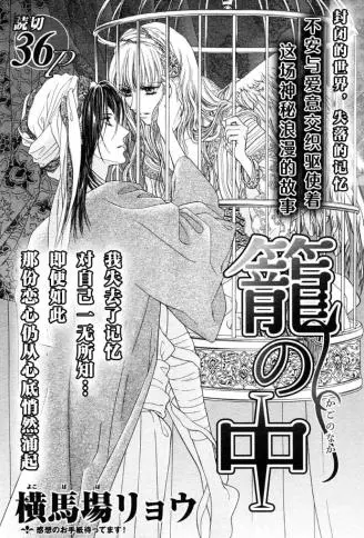 笼之中 WB版