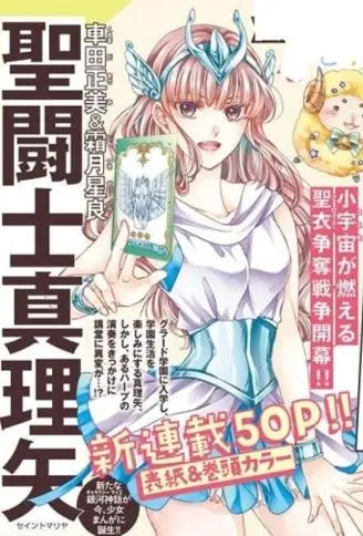 圣斗士真理矢 WB版