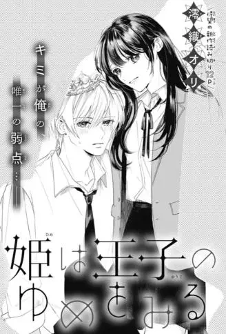 公主望向了王子的梦境 WB版