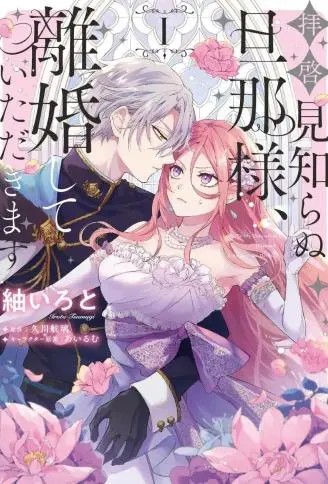 敬启者素未谋面的丈夫、请和我离婚 WB版漫画