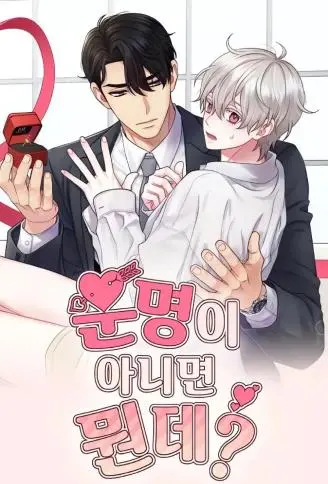 如果不是命运，那是什么？ WB版漫画