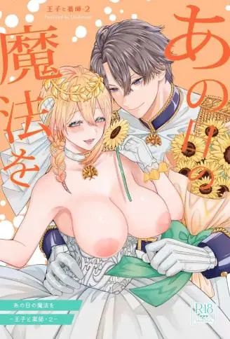 那一天的魔法-王子与药师・2- WB版
