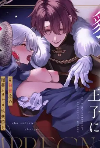 王女殿下被神秘性格突变且执着的王子受孕了 WB版漫画