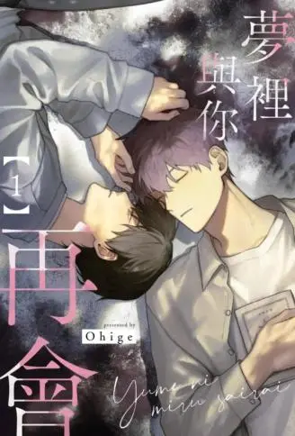 梦里与你再会 WB版