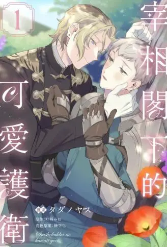 宰相阁下的可爱护卫 WB版漫画