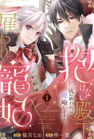 无法拥抱的殿下的僱佣宠妃 初夜结束就离婚！ WB版