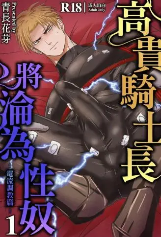 高贵骑士长将沦为性奴 WB版