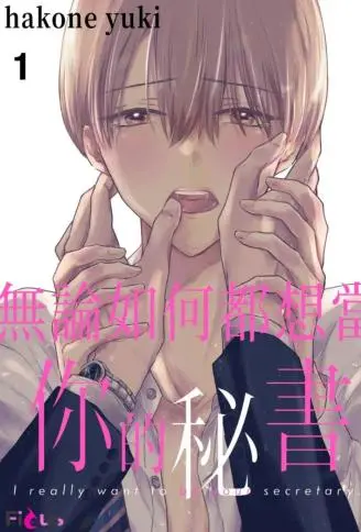 无论如何都想当你的秘书 WB版