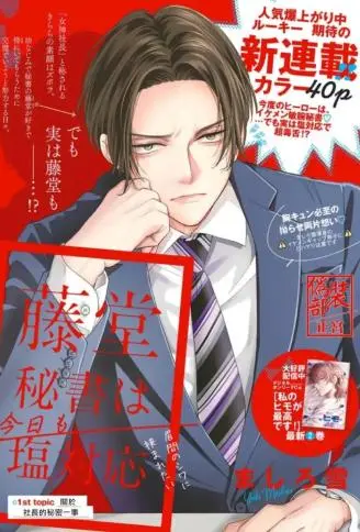 藤堂秘书今天也在故作镇定 WB版漫画