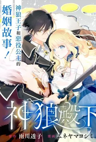 神狼殿下的最爱妃 WB版