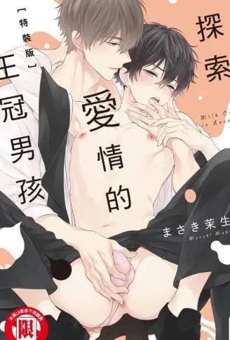 探索爱情的王冠男孩 WB版