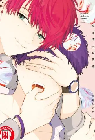 说谎情人的玩物 WB版