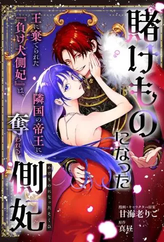 沦为筹码的侧妃 WB版漫画