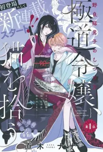 黑道千金、捡到猫 WB版漫画