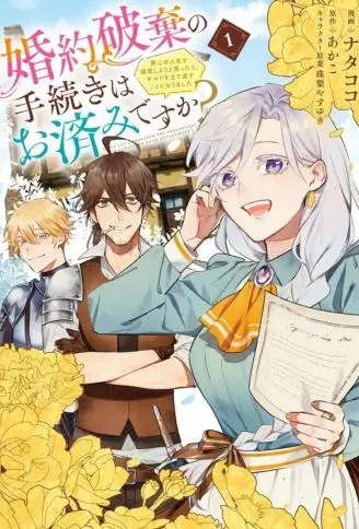 关于废除婚约的手续已经办好了吗? WB版漫画