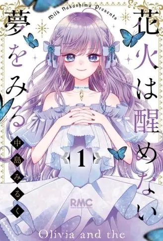 醒不过来的花火之梦 WB版漫画