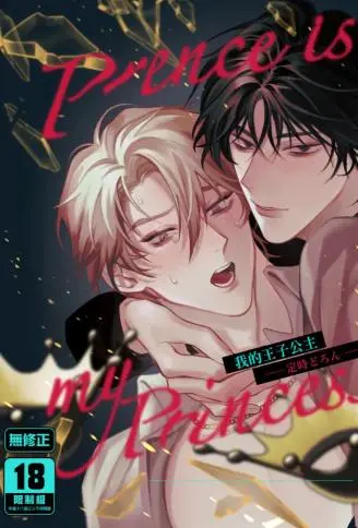 我的王子公主 WB版漫画