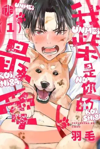 我「柴」是你的最爱 WB版漫画