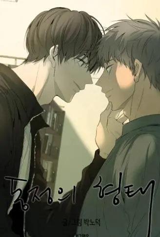 同情的形态 WB版漫画