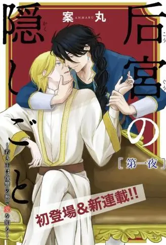 后宫的隐秘之事 WB版漫画