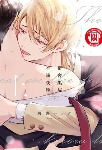 宿舍黑猫不识夜晚 WB版漫画