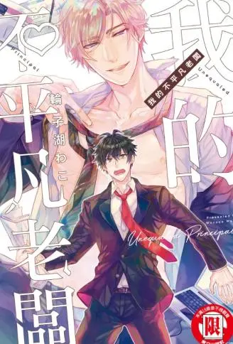 我的不平凡老板 WB版