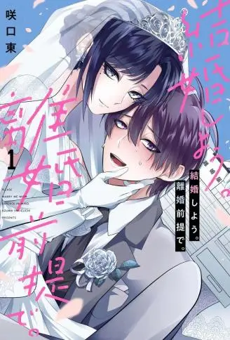 结婚吧。以离婚为前提。 WB版