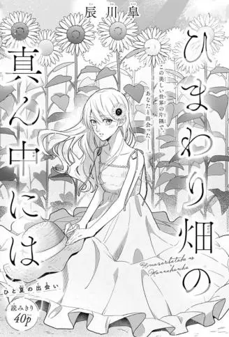 于向日葵花田之中 WB版漫画