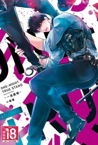 ONE-NIGHT TRUE STAND－一夜真情－ WB版漫画