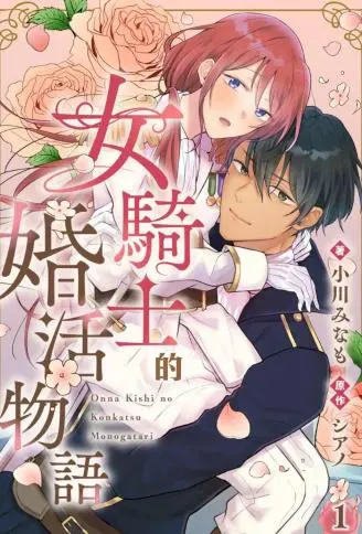 女骑士的求婚故事 WB版