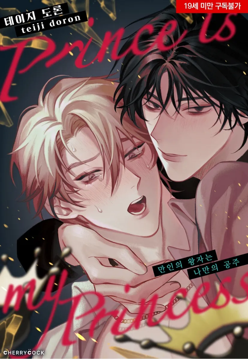 别人的王子是我的公主