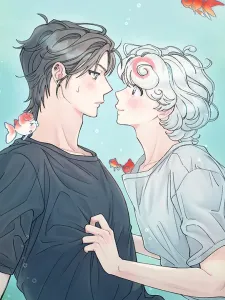 可爱的狮子头金鱼