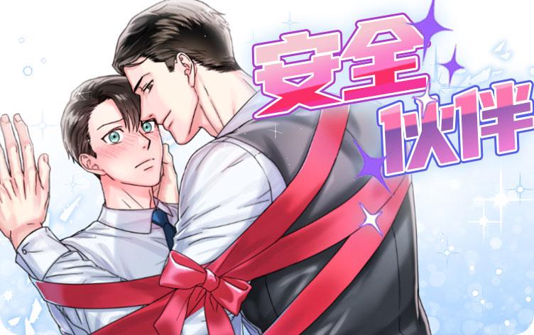 安全伙伴