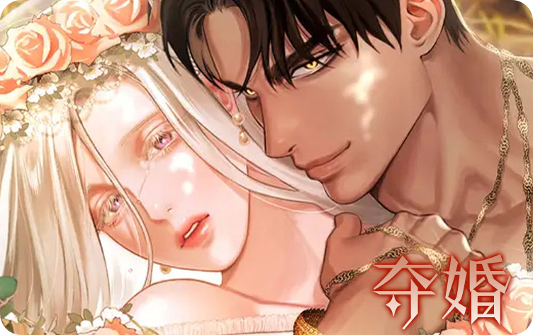 夺婚