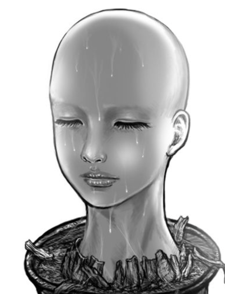 人頭盆栽